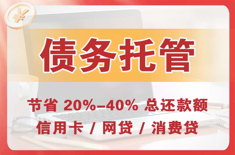 新干债务托管